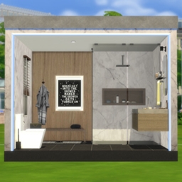 Modern looking Bathroom