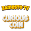 ZamestoTV: Curious Coin