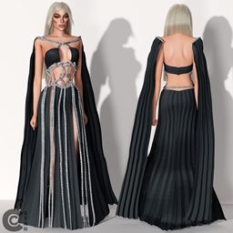 Sweeping Chiffon Cape Dress logo