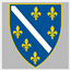 Kingdom of Bosnia - Coat of Arms logo