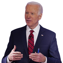 Biden Flower Texture