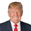Trump Grass Texture