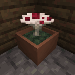 Undergarden Botany Pots Compats logo