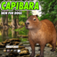 Capibara skin by Jochi