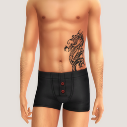 Dragon Tattoos logo