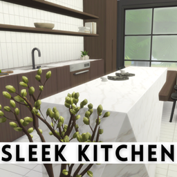 Sleek & Modern Kitchen
