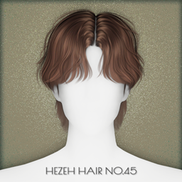 [Hezeh] Hair_No.45