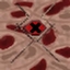 InfectionCraft logo