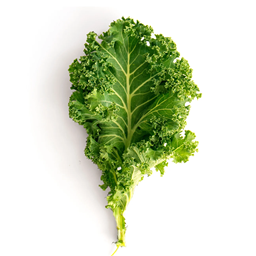Kale Bread project image