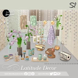 Latitude Decor 🧼 logo