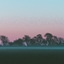 Sunrise SS logo