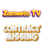 ZamestoTV: Contract Missing