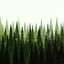 Realism Reborn logo