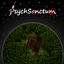 PsychSanctum logo