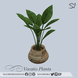 Vocatio - Tall Leaves Plant 🌿 project image