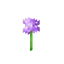 Flower Dimension logo
