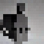 Shadow Of The Light logo