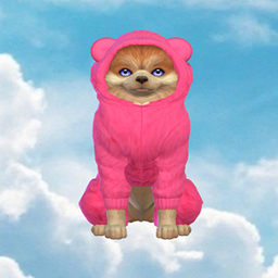 Teddy Bear