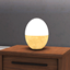 Single Object - Iluna Egg Table Light logo