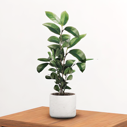 Single Object - Iluna Plant