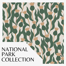 Magical National Park Wallpaper 12
