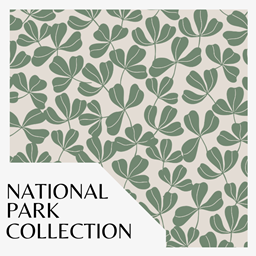 Magical National Park Wallpaper 16