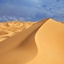 Sandy Survival logo