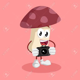 Mushroom Kingdom's Content Creation Starter Pack logo