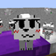 Boykisser cats