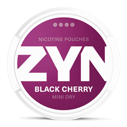 ZYNcraft project image