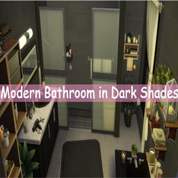 Modern Bathroom Dark Shades