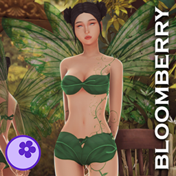 Garden & Crystal fairy bikini
