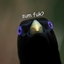 Lemme smash logo