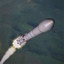 Adam's Indian Space Research Organisation logo