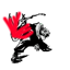 Super Critical [Black Flash] logo