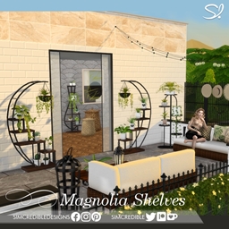 Magnolia - Shelves for plants 💚 project image