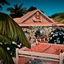Volcanic Heart Island Restaurant logo