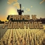 Farms N' Furniture logo
