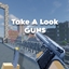 Take A Look GUNS logo