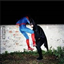 Batman & Spiderman Hideout logo