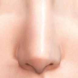 Nose Preset 48 HQ logo