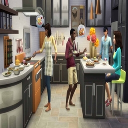 Culinary Curator By a.deep.indigo Spanish Translation