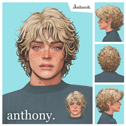 Anthony Hair and Ombre Overlay logo