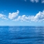 Fujji's Ocean logo