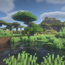 Elevated Craft project image