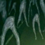 Cave Horror 2.0 logo