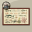 Marine Species List Board #1 Samtuse963 logo