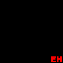 Essentially Hooboy logo