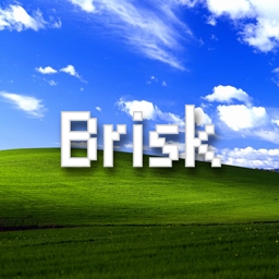 Brisk Craft logo