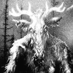 The Cursed Land project image